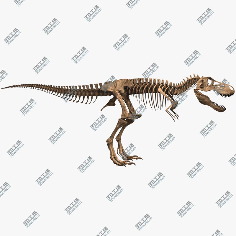 images/goods_img/202105071/T-rex Skeleton/2.jpg